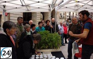 San Sebastián regalará plantas de tomate el 4 de mayo