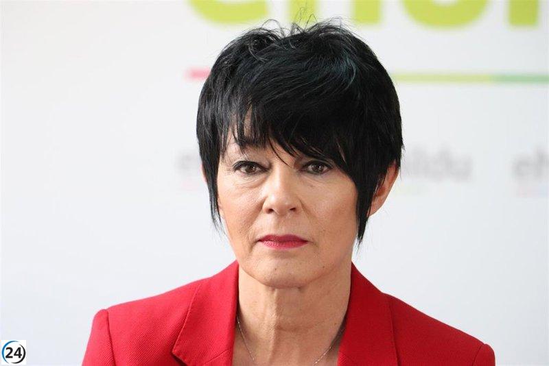 EH Bildu justifica la ausencia de cifras en su propuesta por considerar que es prematuro.