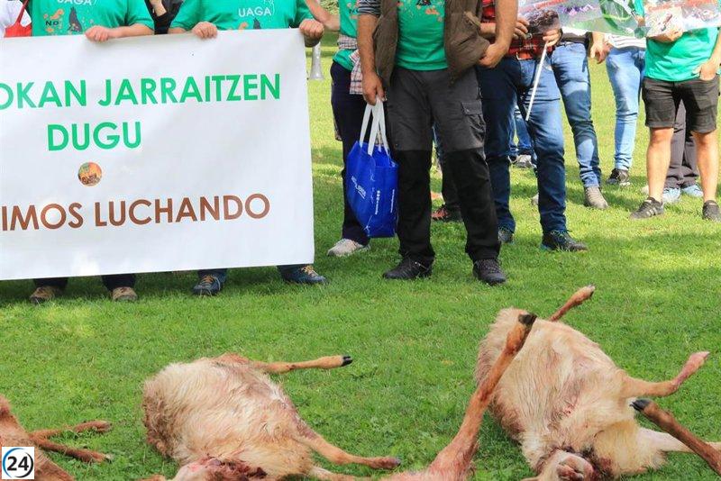 Gobierno Vasco pide al Ministerio retirar al lobo de la lista de especies protegidas.