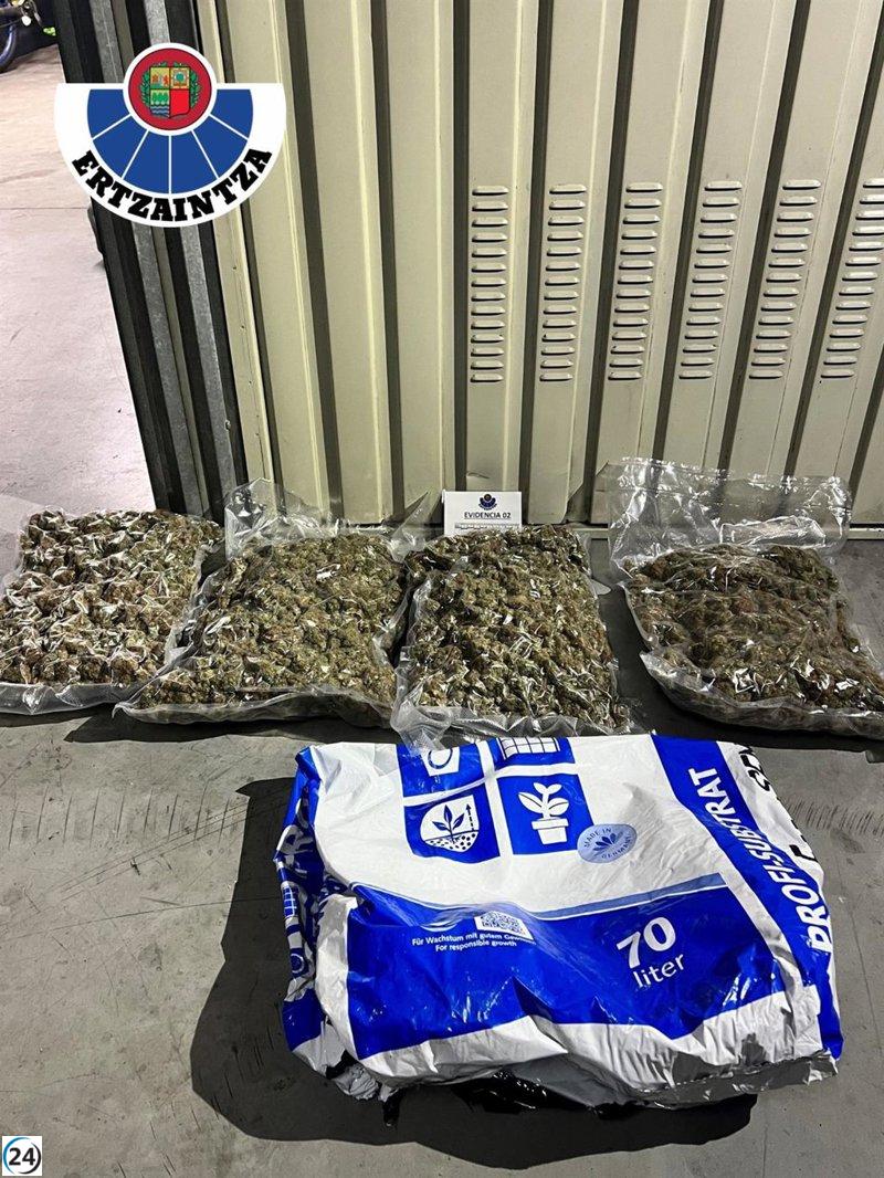 Capturados dos hermanos en Irun con 4 kilos de marihuana y 400 gramos de cocaína.