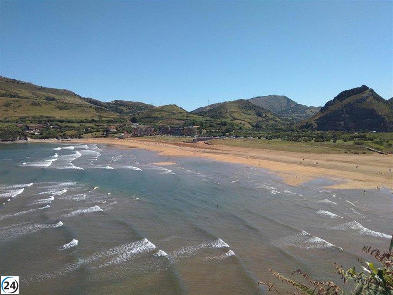 Alerta de medusas en las costas de La Arena, Arriatera-Atxabiribil, Gorrondatxe, Barinatxe y Laga en Bizkaia.