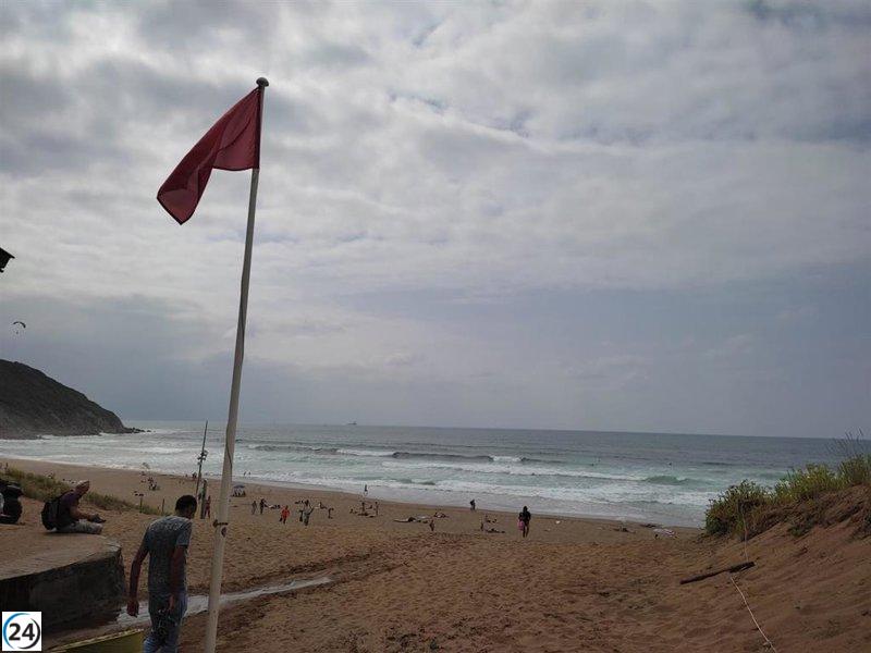 Medusas obligan a cerrar dos playas vizcaínas con banderas rojas.