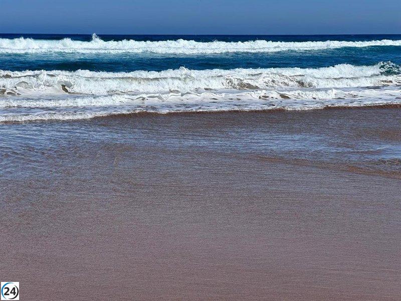 Playas de Bizkaia abren sus puertas al baño, excepto en Toña, sin avistamientos de medusas.