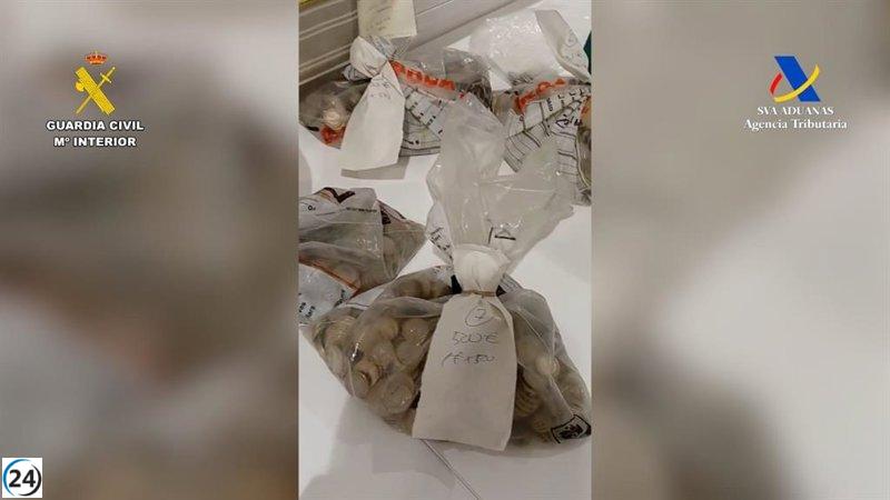 Descubren más de 25.000 euros en efectivo ocultos en las maletas de un viajero en el aeropuerto de Bilbao.