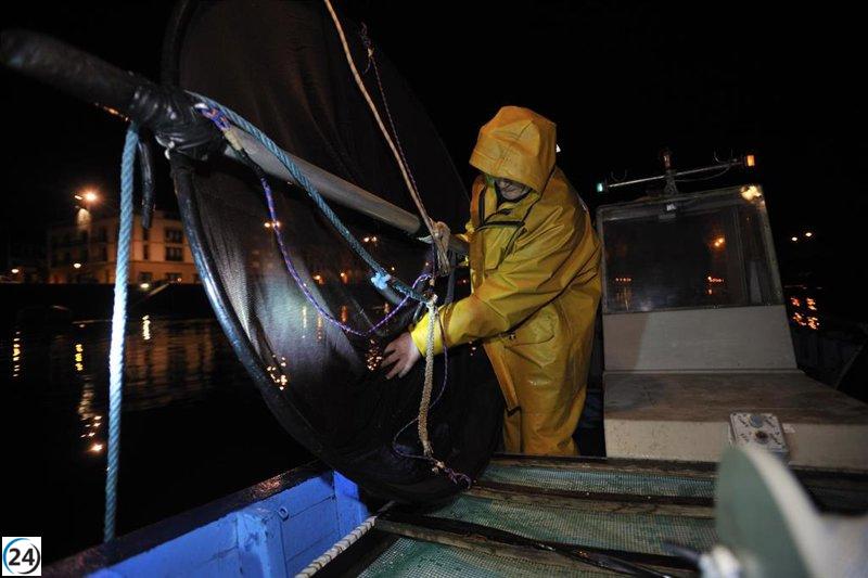 Gobierno Vasco detiene la temporada de pesca de angulas 2025-2026 por alarmante crisis ambiental.