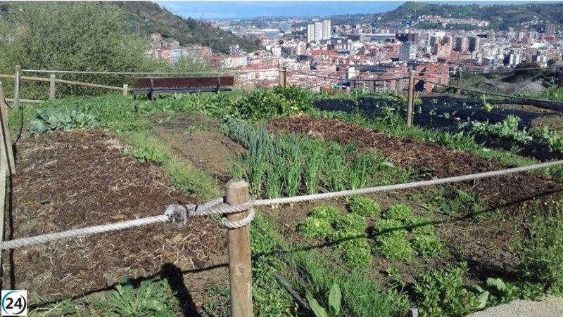 Bilbao impulsa presupuestos participativos: nuevos huertos urbanos y albergue inclusivo para personas sin hogar con mascotas.