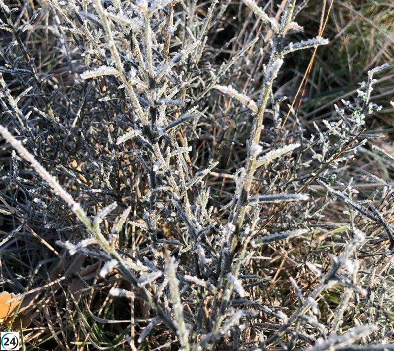 Se levanta la alerta amarilla por heladas en Euskadi tras alcanzar -5 grados en Egino (Álava).