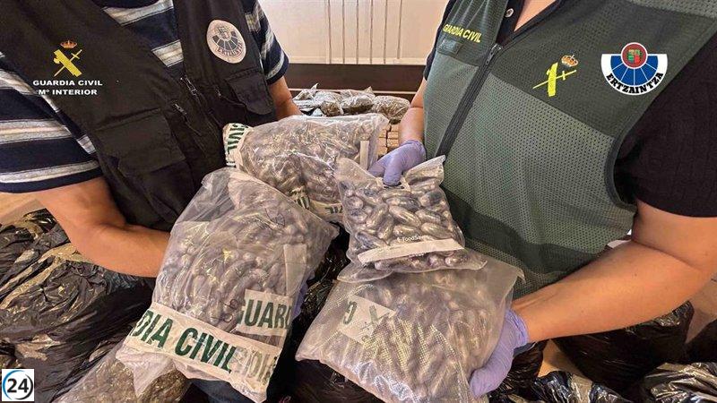 Desarticulada red criminal en Bizkaia con 6 detenidos y 270 kilos de droga incautados